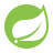 springboot icon